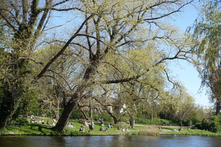 NL-Alkm-buiten-in-de-zon-200419-1-scaled