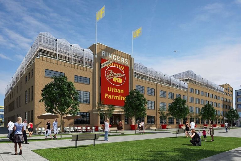 Ringers-Urban-farming