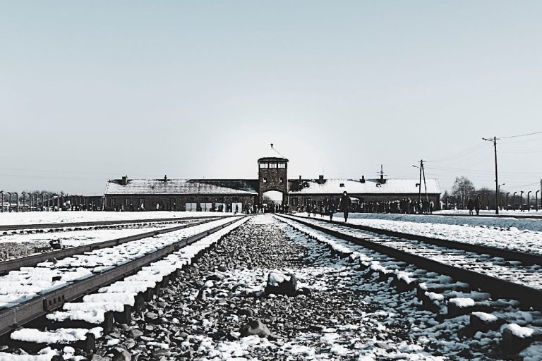 erica-magugliani-K2ZGh2XabNo-unsplash-1