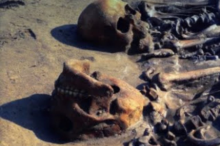 tijdschrift-2014-3